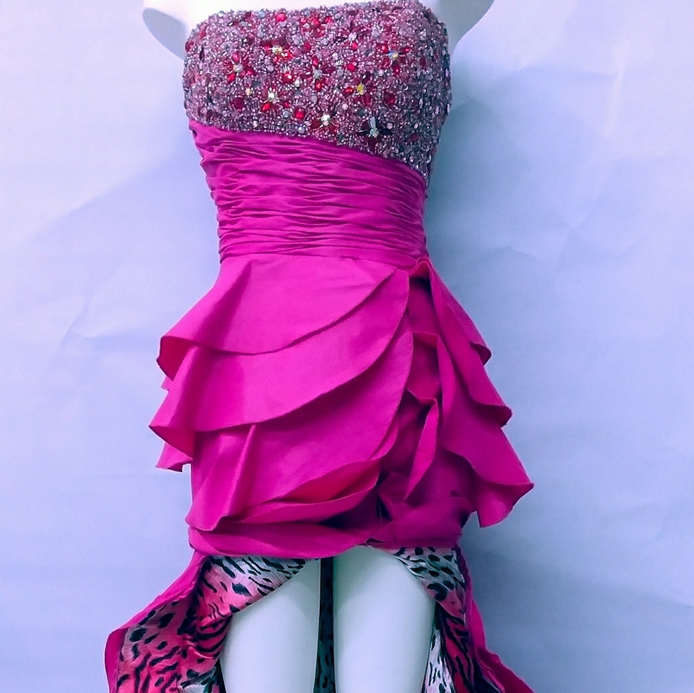 Fantastic Prom Dress